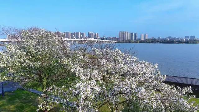 以生活为渡船悦享光阴静心慢度当下