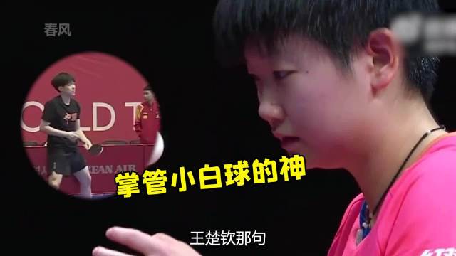 只有孙颖莎能接住这个球含金量还在上升，谁懂莎莎极限救球有多帅