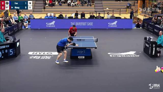 樊振东转会德甲带动人气飙升