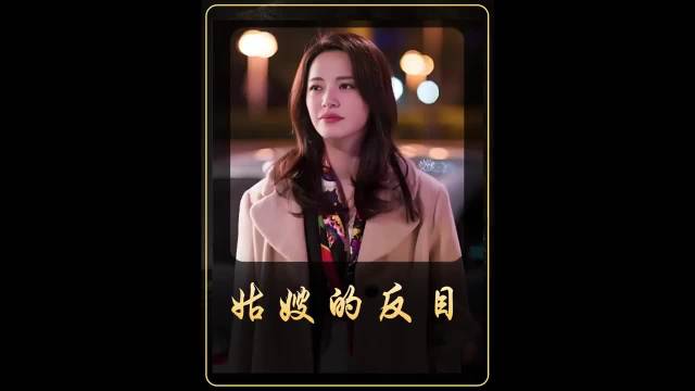 女人为老板和嫂子反目 姚晨 郭京飞 李念/都挺好