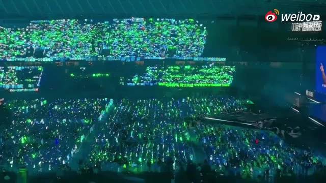 丁禹兮粉丝晒巅峰之夜绿色灯牌