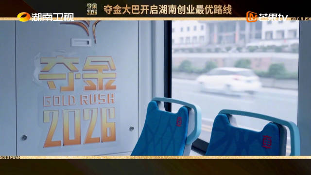 湖南宁乡集聚35家全产业链企业，中伟新能源、比亚迪领衔行业十强