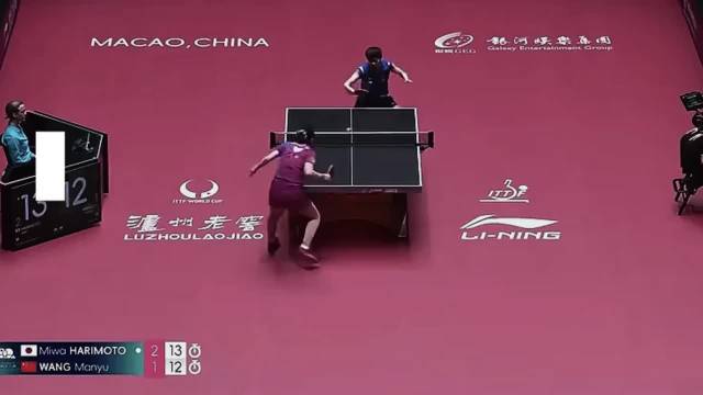 王曼昱力克张本美和再担扫雷重任