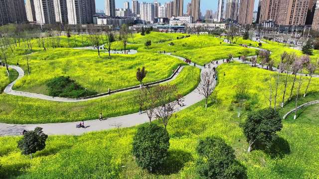 谁说看油菜花一定要去远方