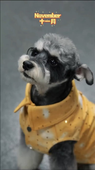 刘宇宁大长腿舞台炸裂，网友：这才是内娱男星身材模板！