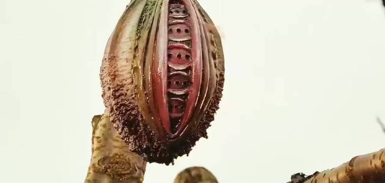 两个女特警勇闯毒枭巢穴