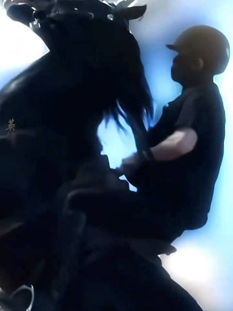 不允许有人没看过 帅飞了