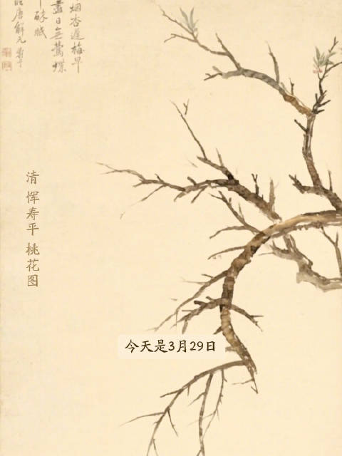 图知道|《桃花图》：桃夭晓色 芳菲满枝