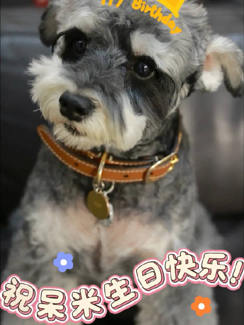 刘宇宁小贝玫瑰丛生，倔强勇敢闪耀自我