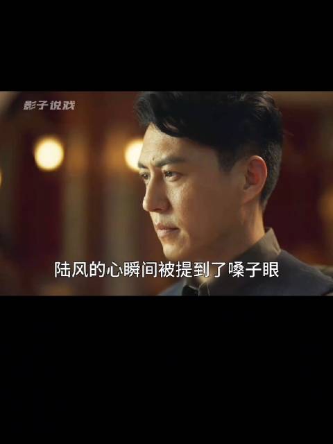 陆风意外发现刺客竟然是自己的未婚妻 谍战剧 影视解说 无间 靳东 王丽坤