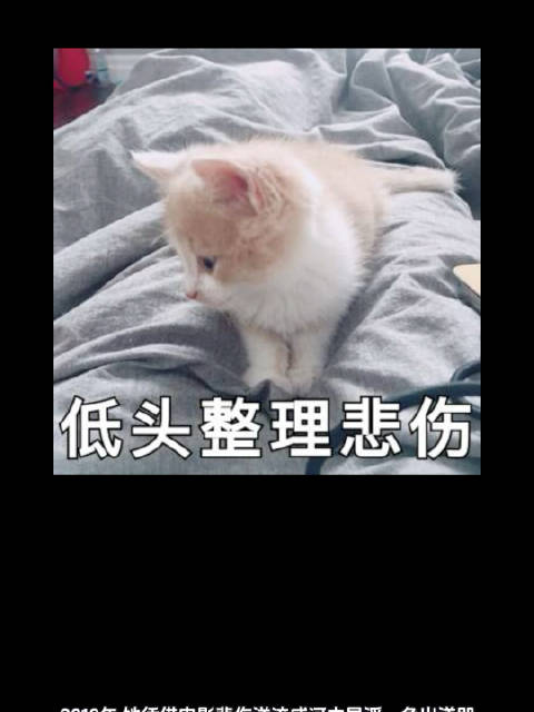 95后小花任敏凭多元角色突围，从易遥到朱颜持续突破