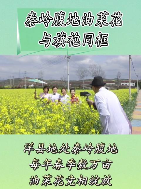 秦岭腹地油菜花与旗袍同框