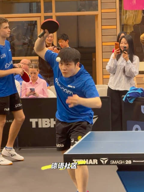 樊振东给自己一巴掌，还好挺温柔