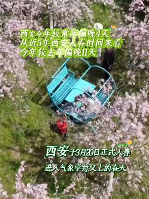 今年西安的春天迟到了