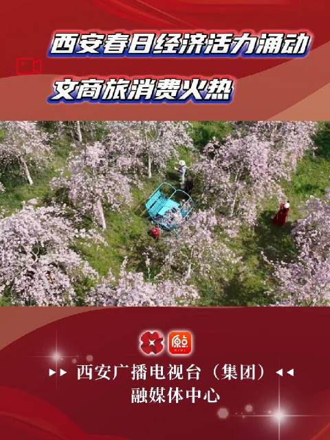 西安春日经济活力涌动文商旅消费火热