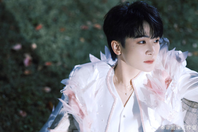 周深春日樱花写真曝光白衣樱瓣交织浪漫