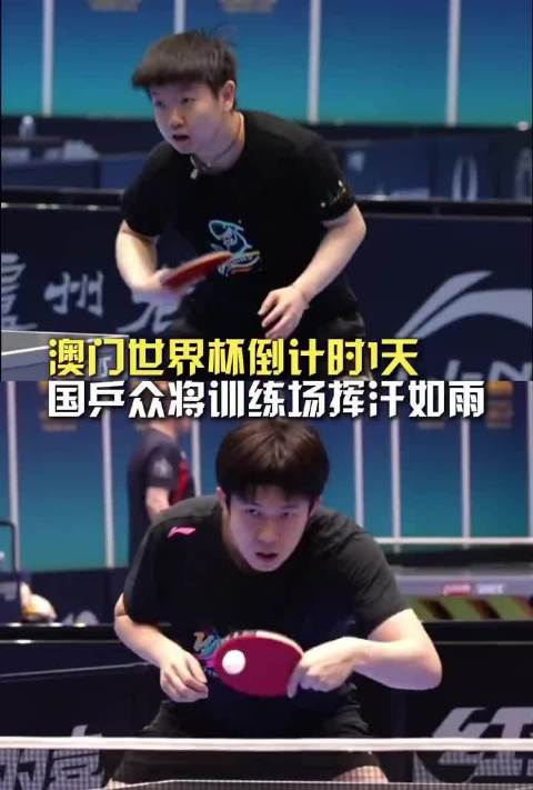 世界杯倒计时开始了 王楚钦 孙颖莎