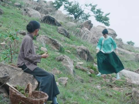 杨幂邢菲新剧《生万物》姐控角色引热议