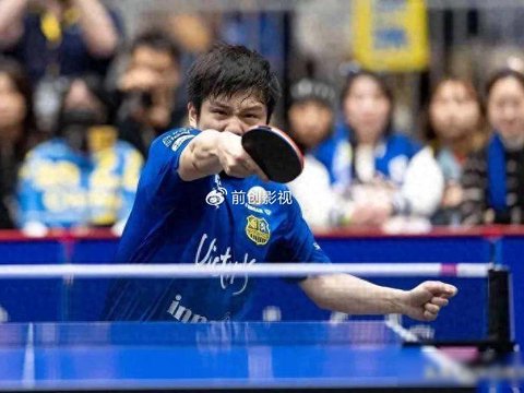 樊振东赢了两场，队友全输了，萨尔布吕肯主场翻车了