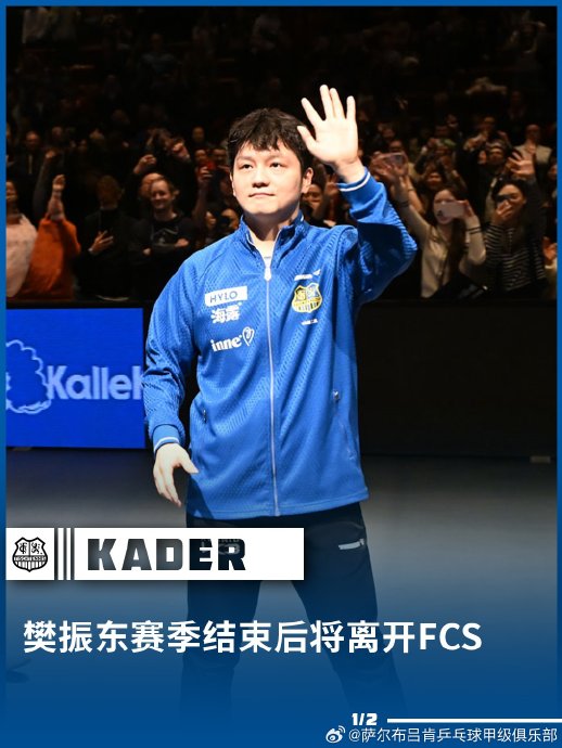 樊振东留洋德甲时，为推动联赛规则做出了哪些改变？