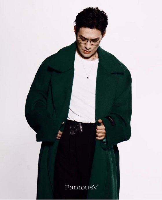 “天涯四美”这个标签对严屹宽的演艺生涯产生了哪些具体影响？