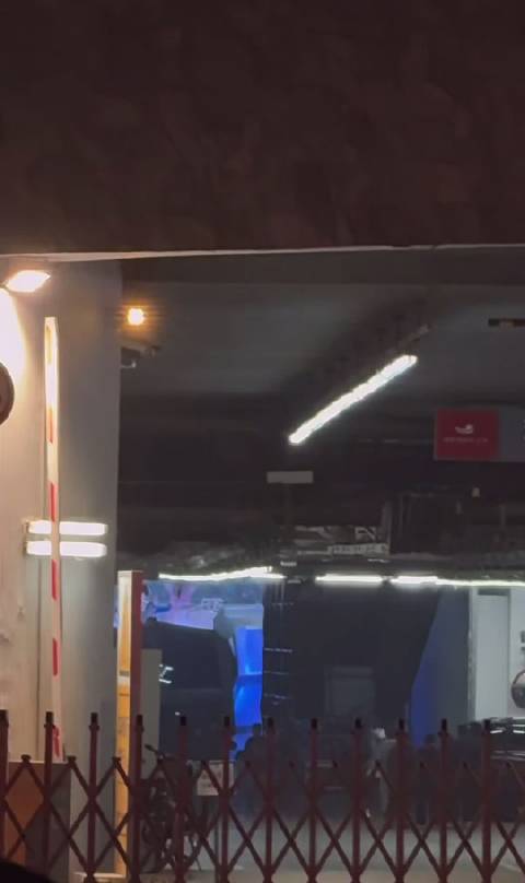 好萌的张杰谢娜 好萌的豹豹猫猫