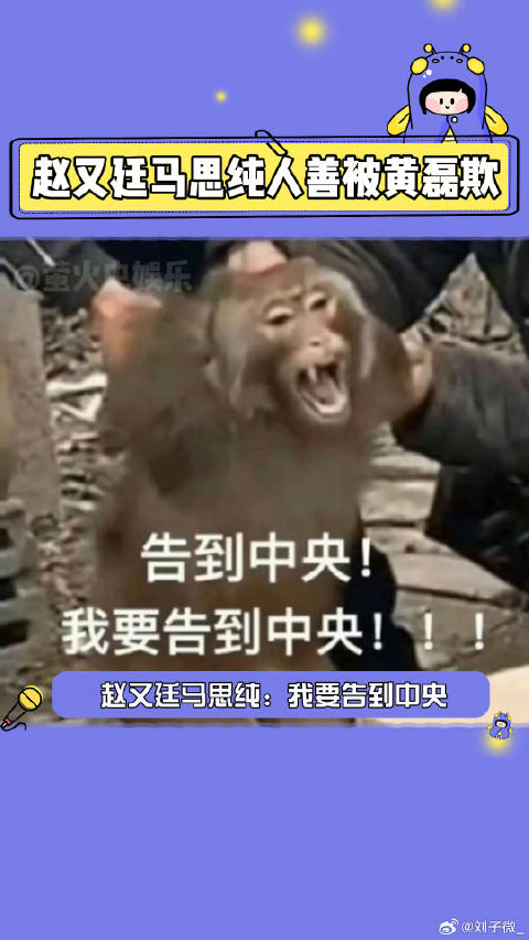 赵又廷 盒子里的猫 微博VC计划