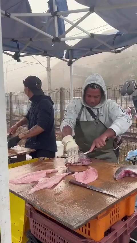 这只海狮每天都来市场“买鱼”，还挺有礼貌的 今天就到这里，大家晚安