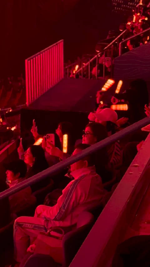 杜华谢娜现身张杰演唱会自拍比耶