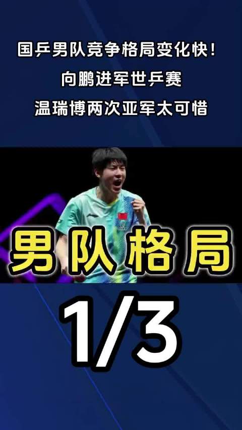 向鹏爆冷夺国乒选拔赛冠军，温瑞博两度第二无缘世乒赛