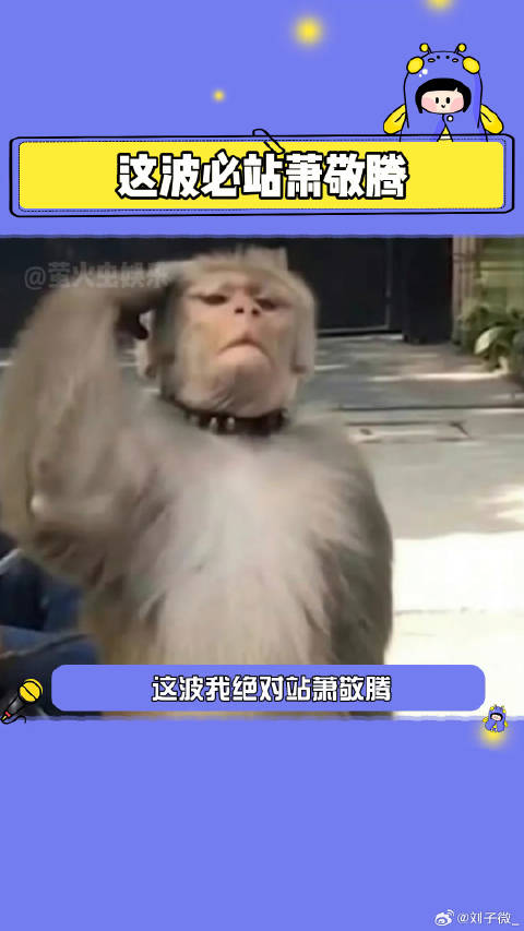 我敬萧敬腾是真汉子微博VC计划