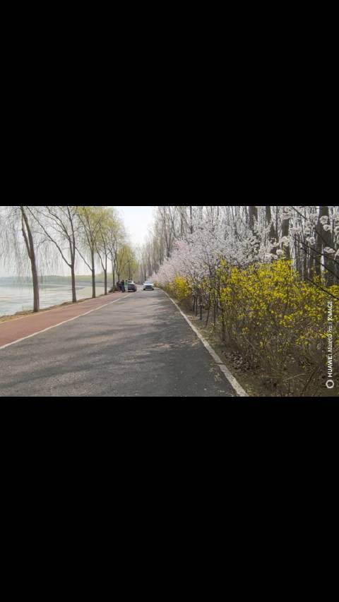 北运河骑行遇华为运动数据异常