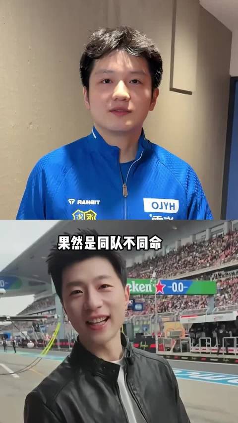 如今再看国乒四剑客樊振东下赛季加盟杜塞尔多夫，马龙解锁多身份