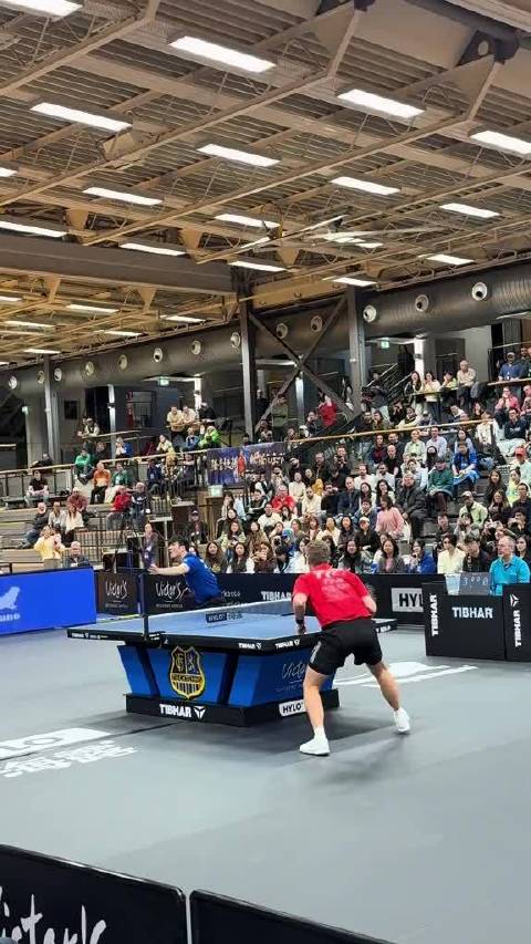 樊振东在德国乒乓球的影响非凡