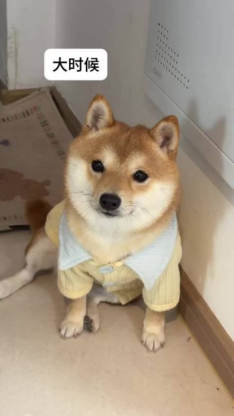 大时候vs小时候