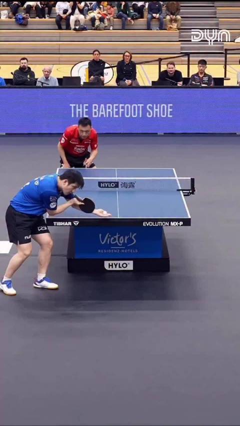 樊振东加盟德国联赛引热议，杜塞被指挖人