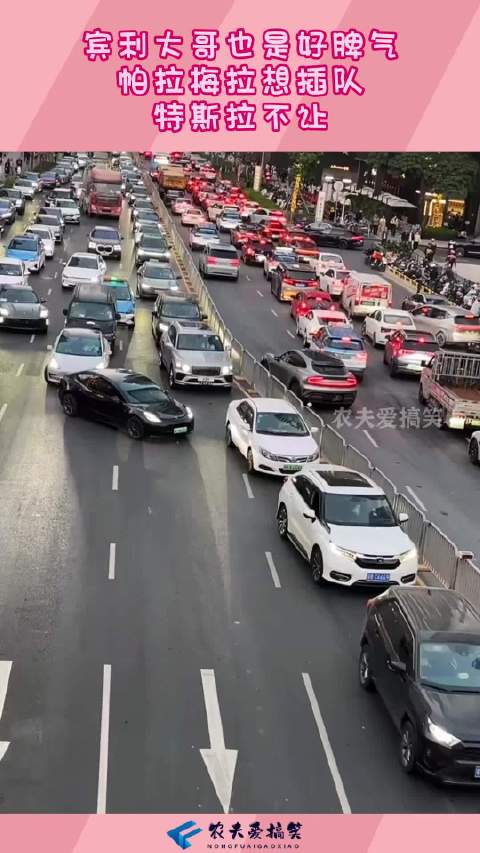 宾利大哥也是好脾气，帕拉梅拉想插队，特斯拉不让！