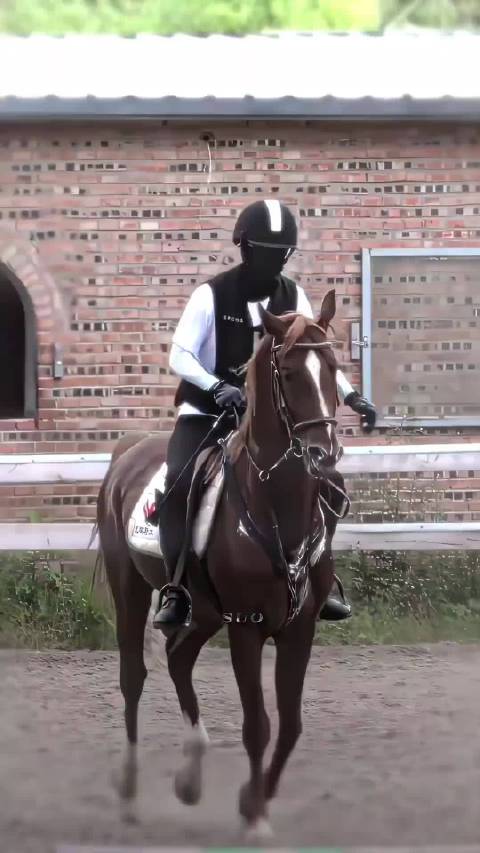 重点是还会自己驯马，夯爆了！