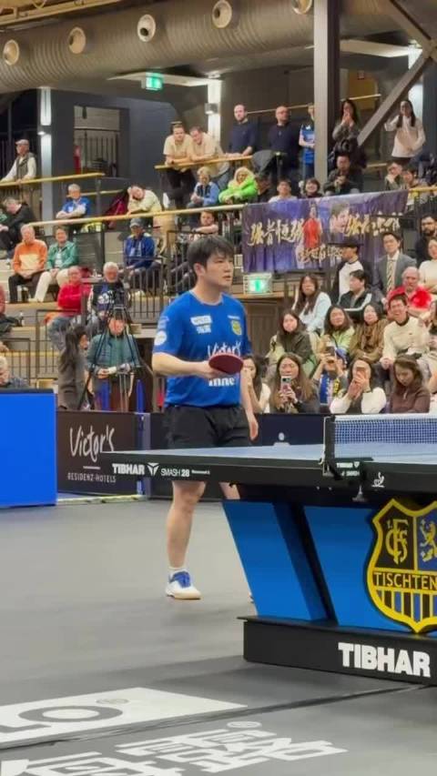 樊振东转会德甲引关注，杜塞被指挖人