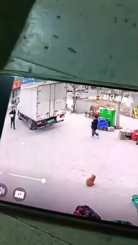 幼童爬货车遇险，三轮车主及时提醒