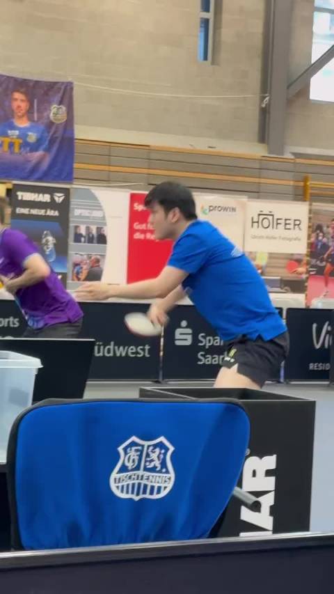 樊振东加盟德甲联赛带动人气攀升