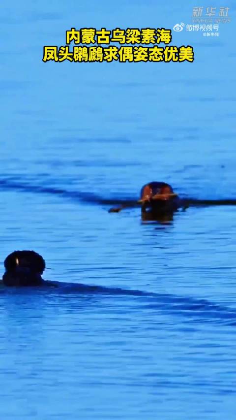 歌声里的美丽中国