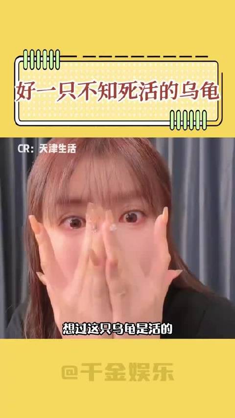 原来是一只不知死活地乌龟