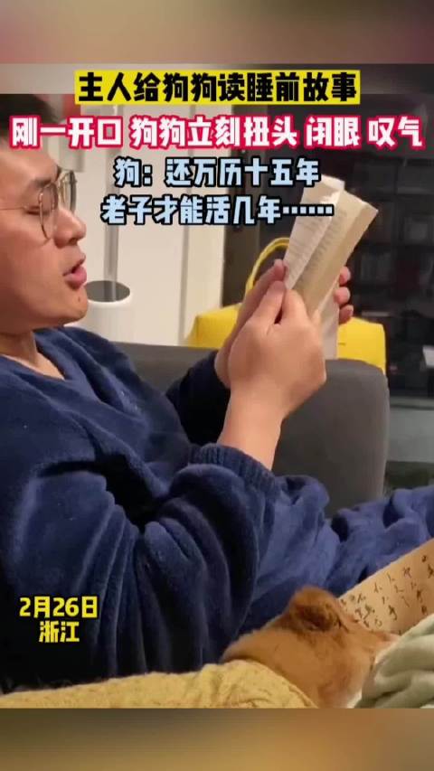 狗狗听主人读故事闭眼叹气，网友调侃耳朵也闭上