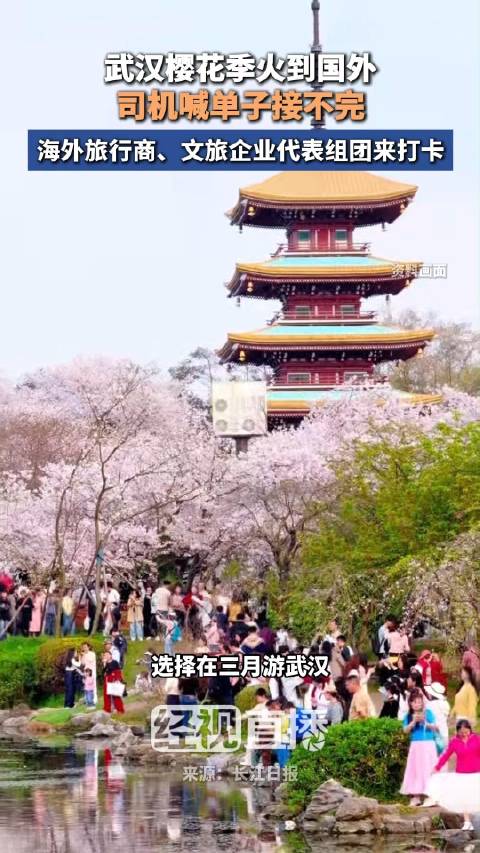 武汉樱花季吸引众多海外企业组团来打卡