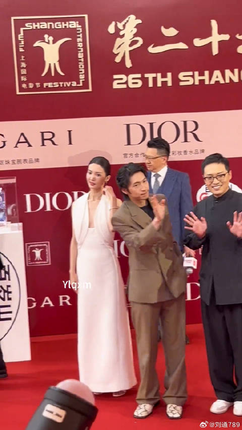 金晨 大鹏 等亮相上影节红毯