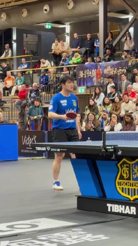 樊振东加盟德甲引关注，带动德国乒乓球赛事热度