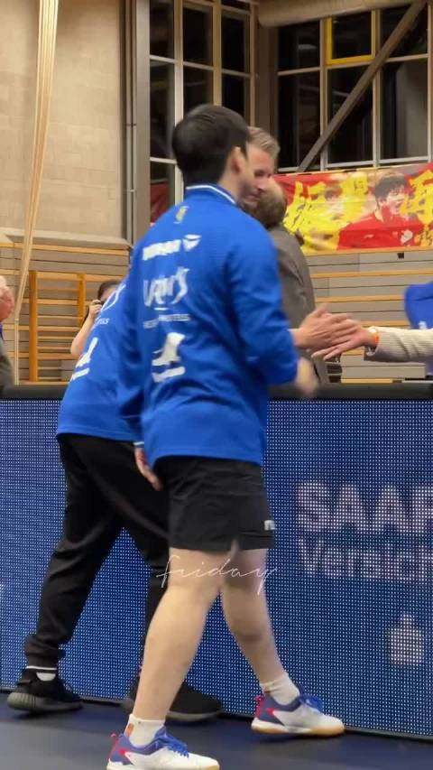 樊振东转会德甲杜塞引热议，德国乒乓球联赛热度飙升