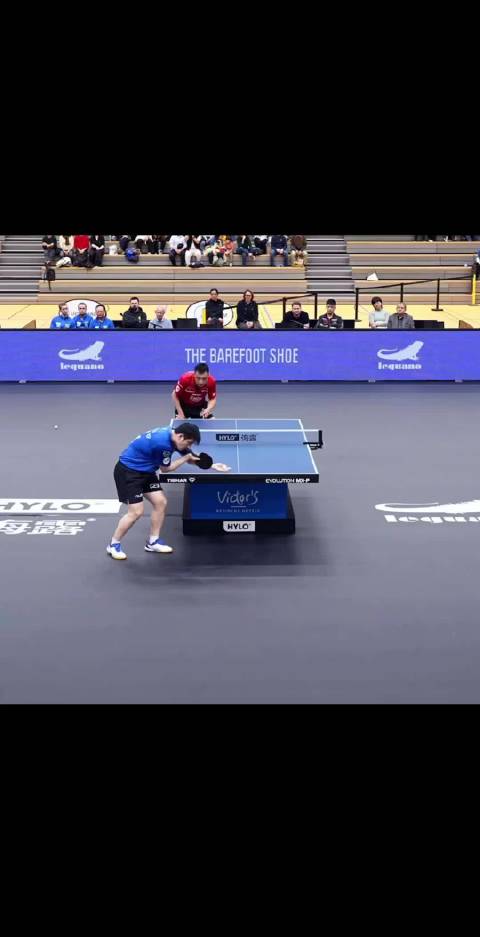 樊振东现在还保持着闪电般的速度，巅峰依旧