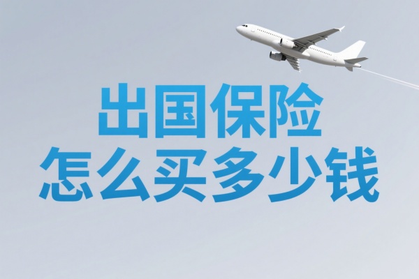 出国保险怎么买多少钱，出国保险都保什么?_沃保保险网
